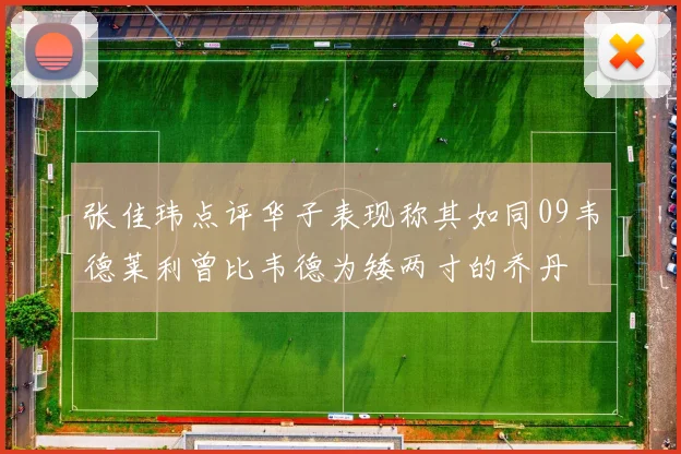 张佳玮点评华子表现称其如同09韦德莱利曾比韦德为矮两寸的乔丹