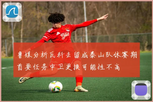 鲁媒分析瓦科去留成泰山队休赛期首要任务中卫更换可能性不高
