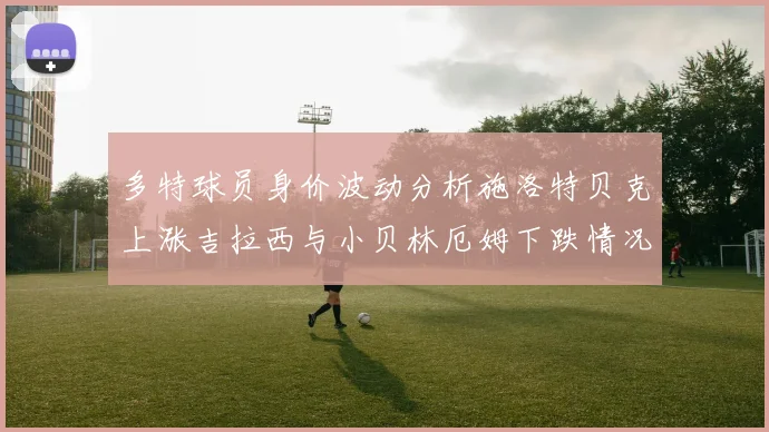 多特球员身价波动分析施洛特贝克上涨吉拉西与小贝林厄姆下跌情况解读
